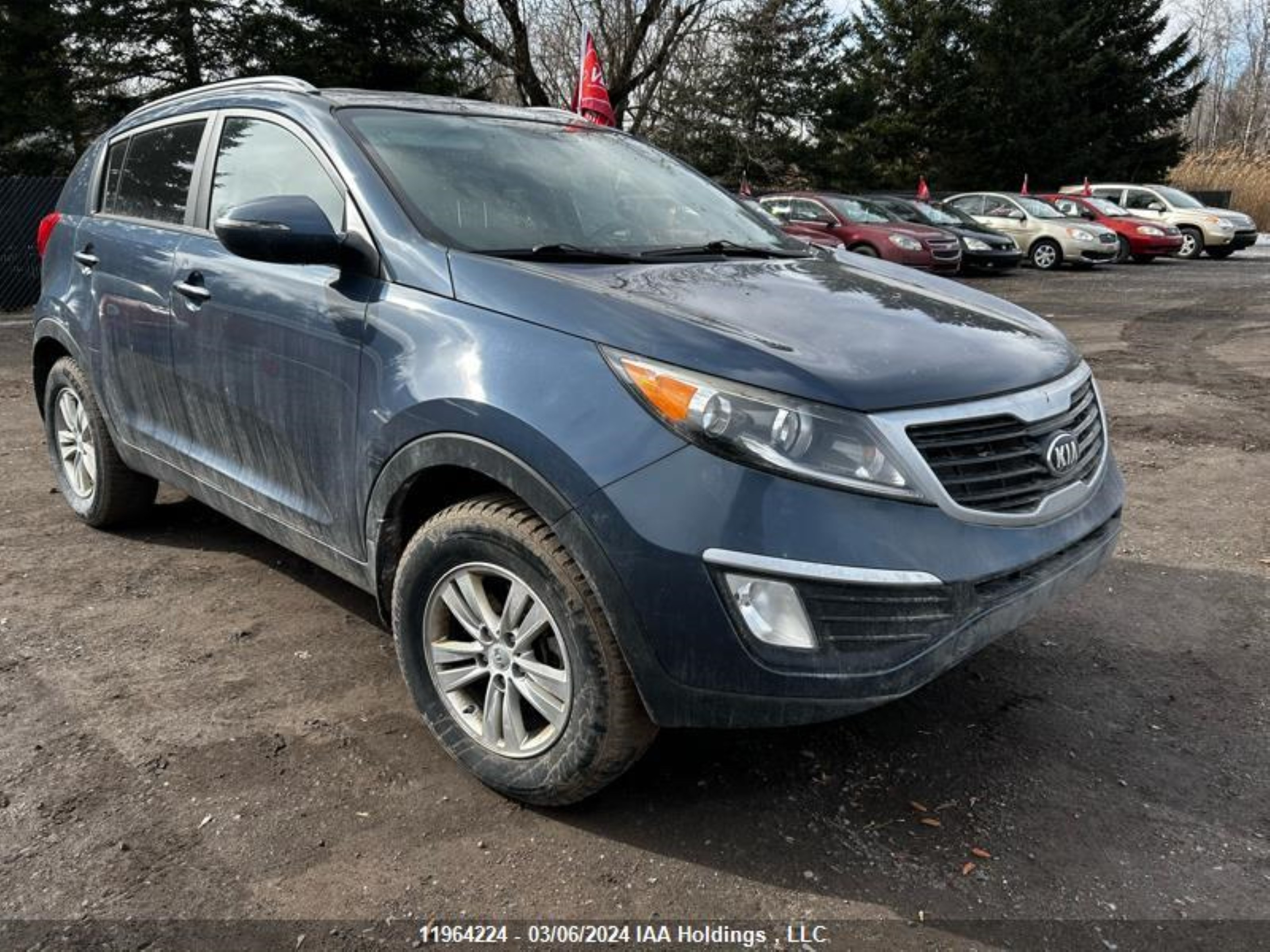 KIA SPORTAGE 2013 kndpb3a2xd7523419