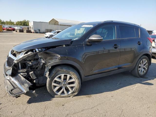 KIA SPORTAGE 2014 kndpb3ac0e7564457