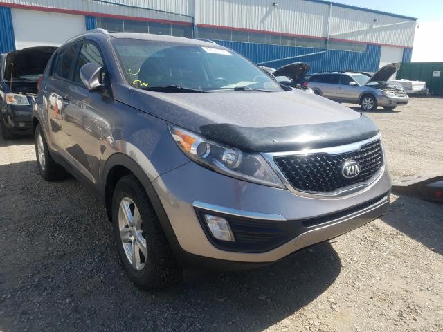 KIA NULL 2014 kndpb3ac0e7638864