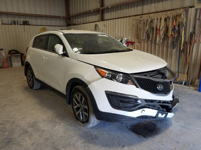 KIA SPORTAGE B 2014 kndpb3ac0e7645183