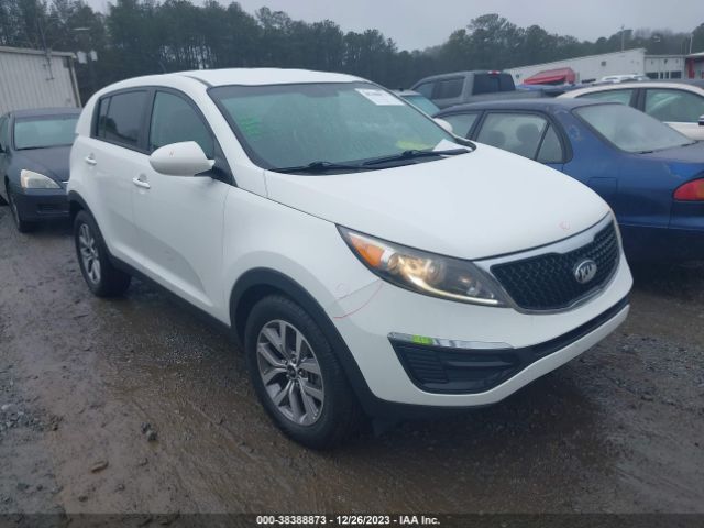 KIA SPORTAGE 2014 kndpb3ac1e7550244