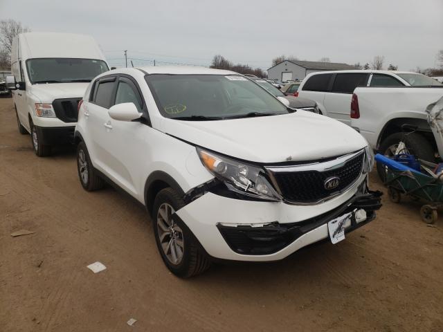 KIA SPORTAGE B 2014 kndpb3ac1e7587522