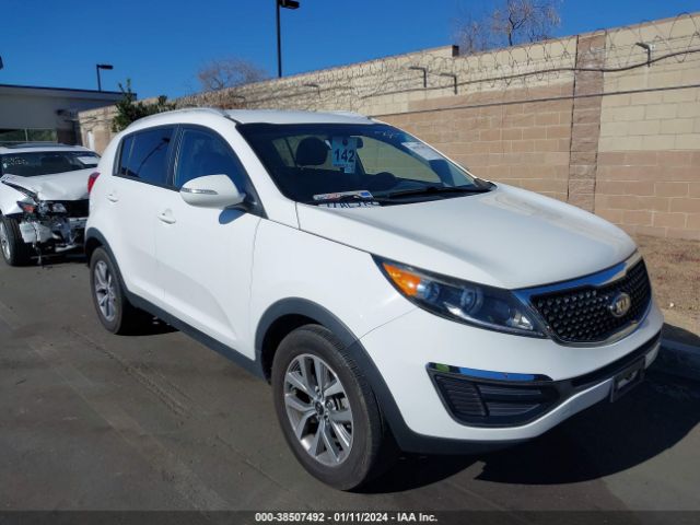 KIA SPORTAGE 2014 kndpb3ac1e7621264