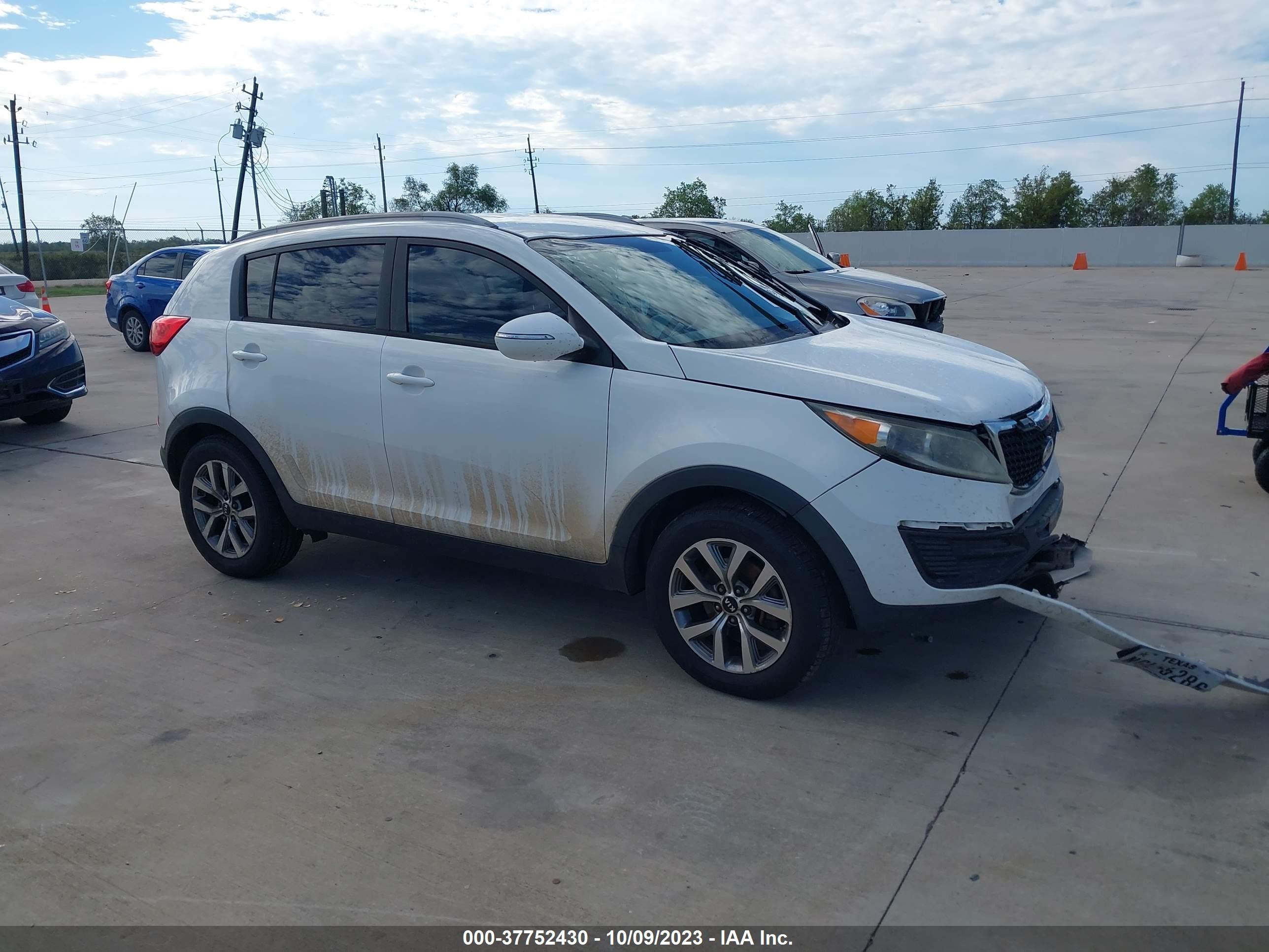 KIA SPORTAGE 2014 kndpb3ac1e7651994