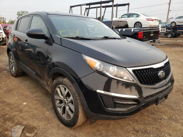 KIA SPORTAGE B 2014 kndpb3ac1e7668570