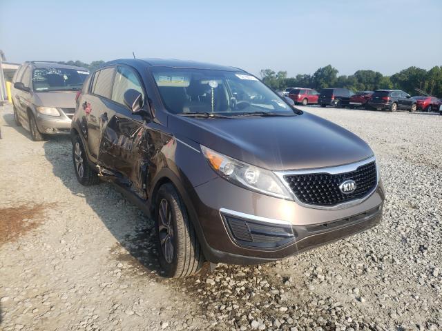 KIA SPORTAGE B 2014 kndpb3ac2e7560653