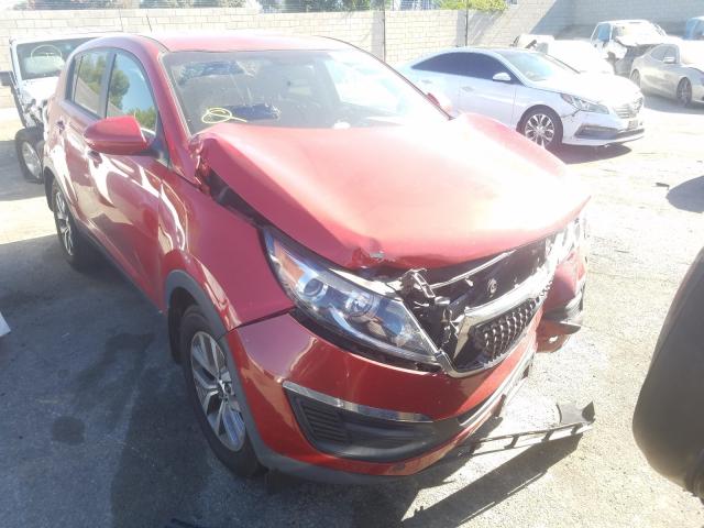 KIA SPORTAGE 2014 kndpb3ac2e7623542