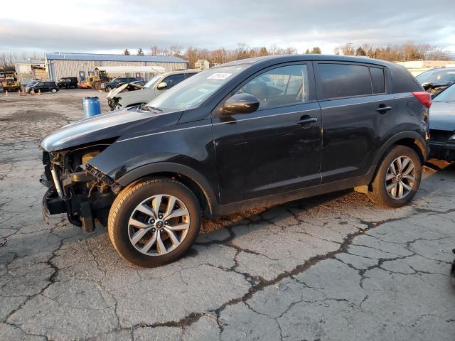 KIA SPORTAGE 2014 kndpb3ac2e7662843