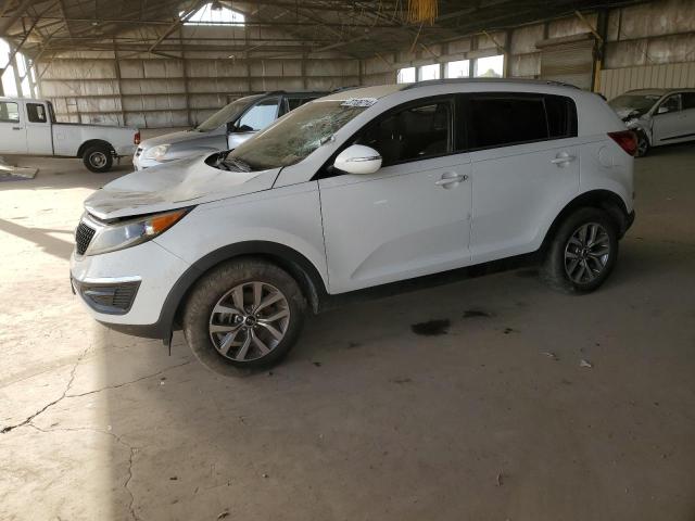 KIA SPORTAGE 2014 kndpb3ac3e7562038