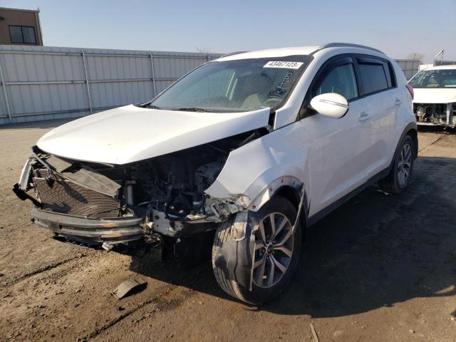 KIA SPORTAGE B 2014 kndpb3ac3e7564789