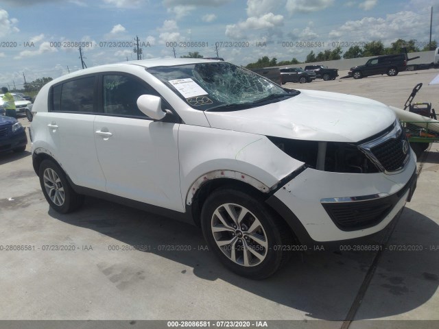 KIA SPORTAGE 2014 kndpb3ac3e7600397