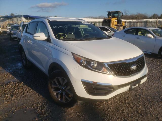 KIA SPORTAGE B 2014 kndpb3ac3e7608807