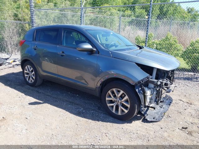 KIA SPORTAGE 2014 kndpb3ac3e7641533