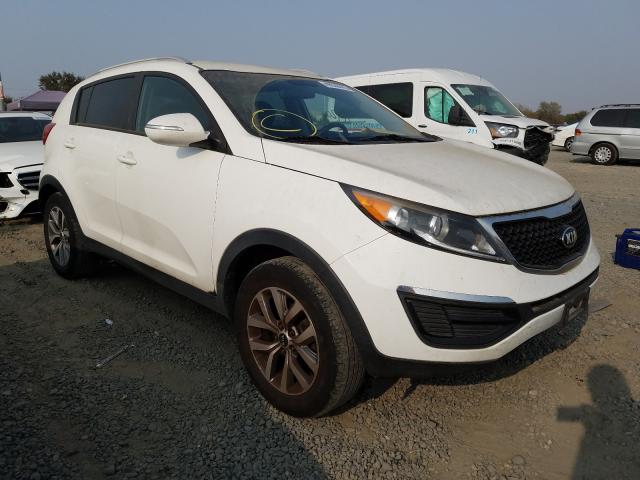 KIA SPORTAGE 2014 kndpb3ac3f7697876