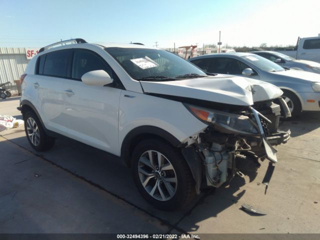 KIA SPORTAGE 2016 kndpb3ac3g7832338