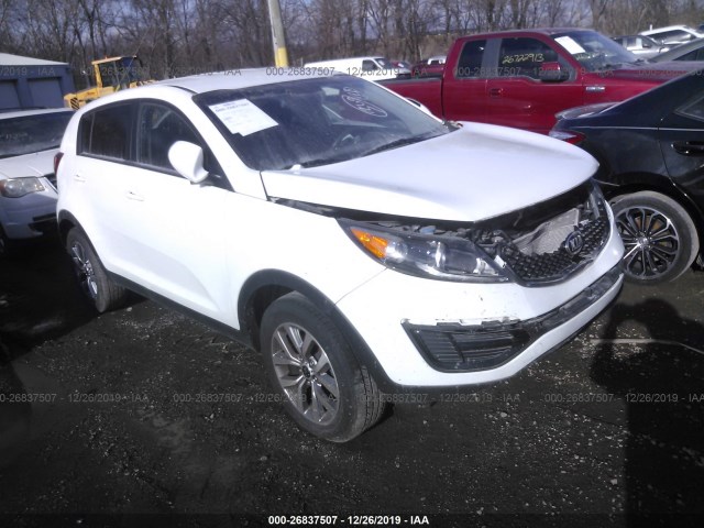 KIA SPORTAGE 2016 kndpb3ac3g7837247