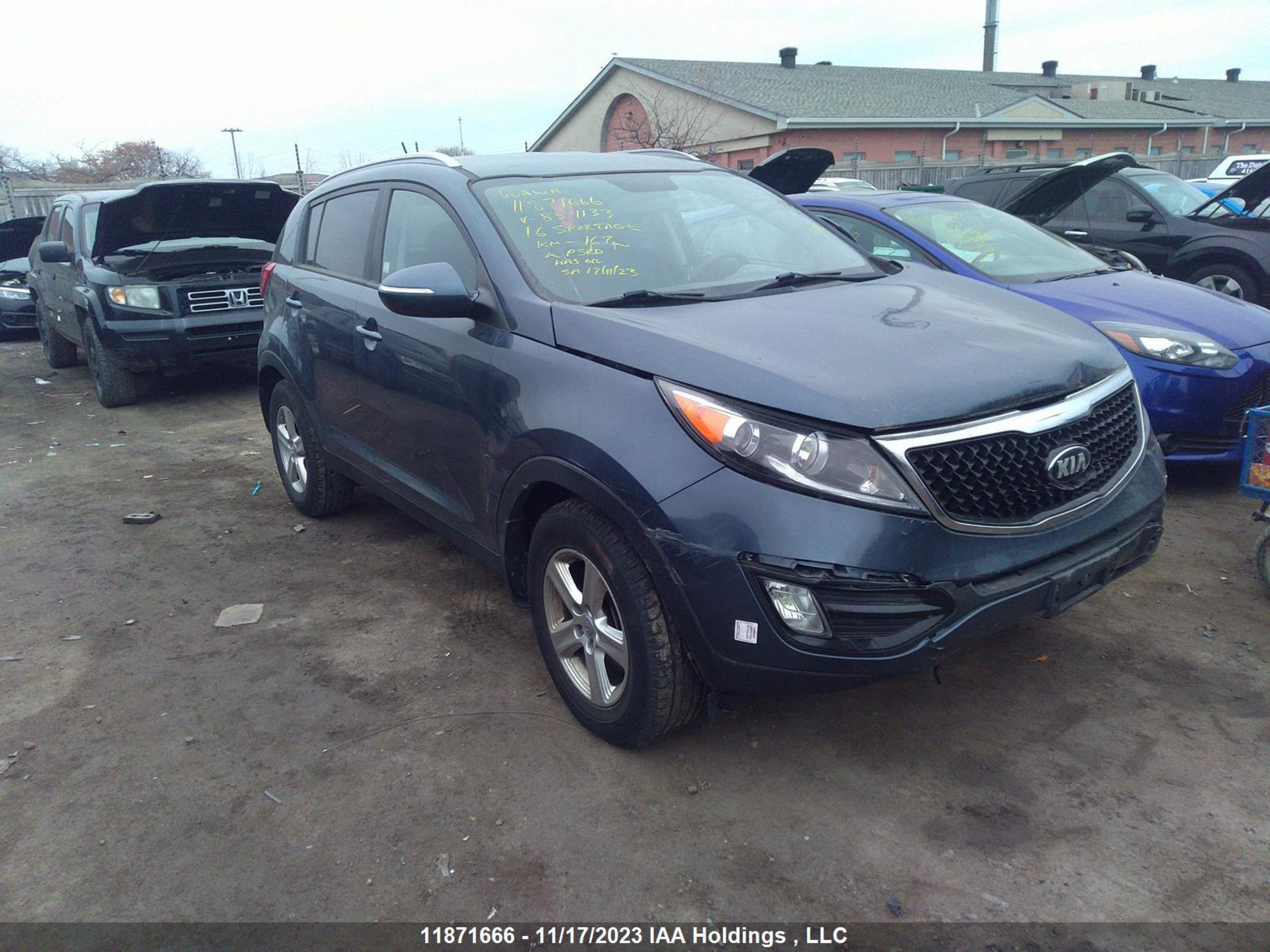 KIA SPORTAGE 2016 kndpb3ac3g7851133