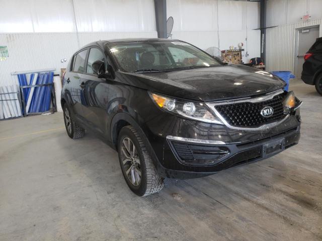 KIA SPORTAGE L 2016 kndpb3ac3g7866134