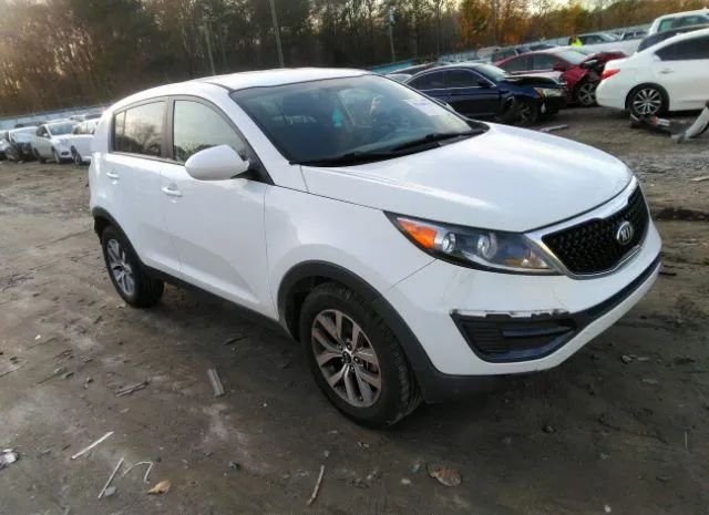 KIA SPORTAGE 2016 kndpb3ac3g7871317