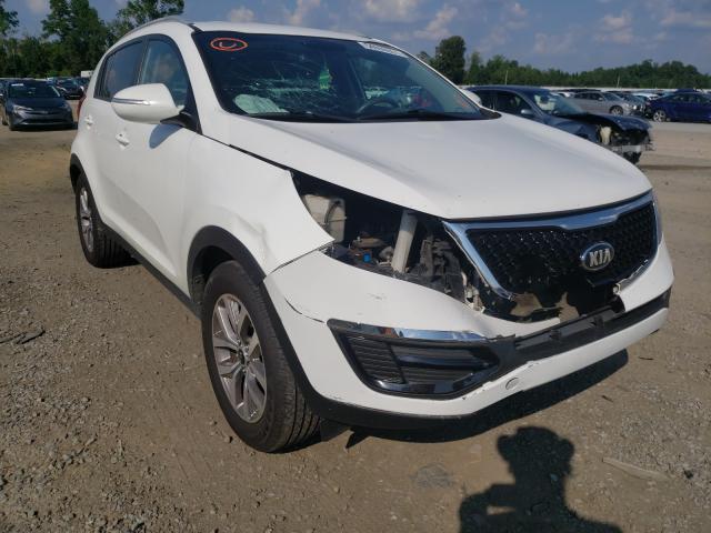 KIA SPORTAGE B 2014 kndpb3ac4e7547404