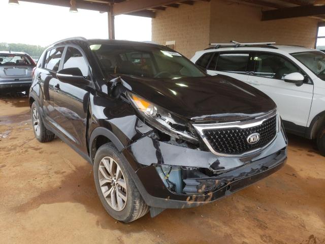 KIA SPORTAGE 2014 kndpb3ac4e7548746