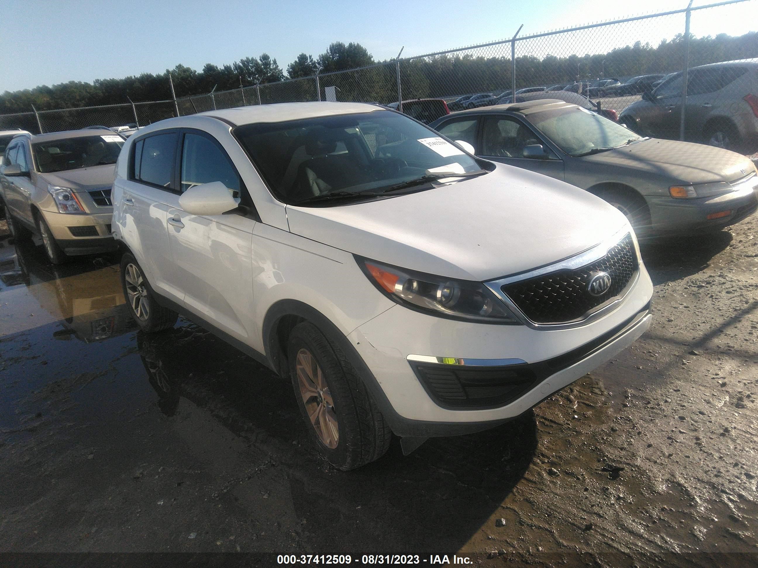 KIA SPORTAGE 2016 kndpb3ac4g7796269