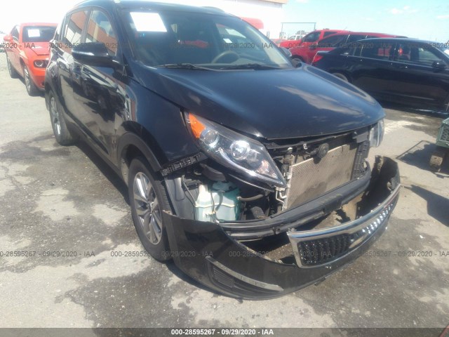 KIA SPORTAGE 2013 kndpb3ac5e7556239