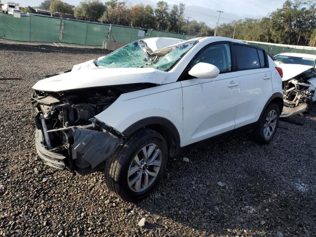 KIA SPORTAGE 2014 kndpb3ac5e7565040