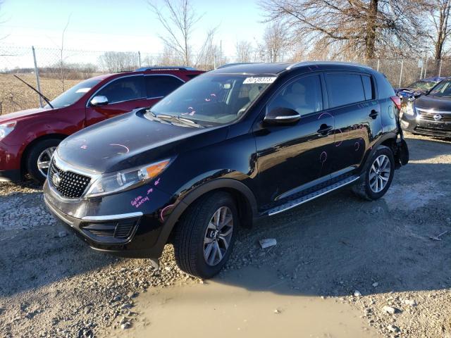 KIA SPORTAGE 2014 kndpb3ac5e7620554