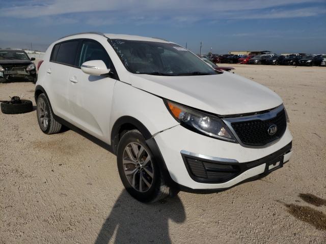 KIA SPORTAGE B 2014 kndpb3ac5e7640285