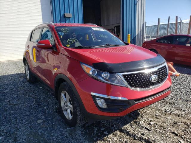 KIA SPORTAGE B 2014 kndpb3ac5e7641372