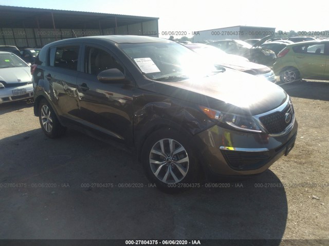 KIA SPORTAGE 2014 kndpb3ac5e7661654