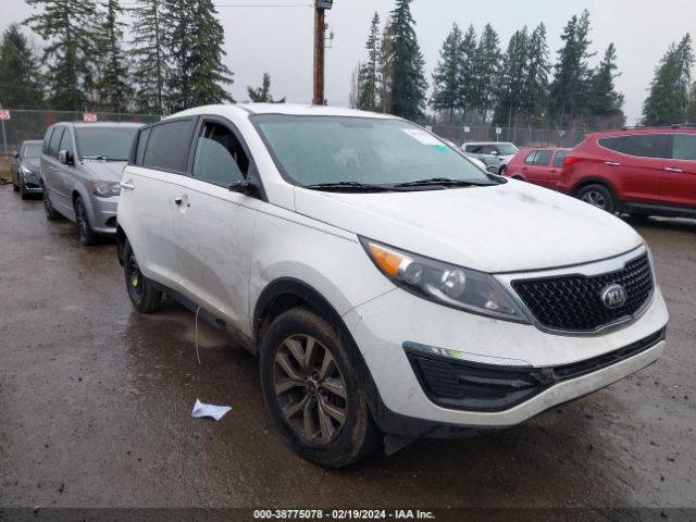 KIA SPORTAGE 2016 kndpb3ac5g7863347