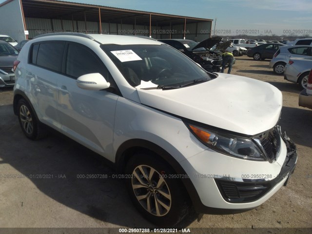 KIA SPORTAGE 2014 kndpb3ac6e7549901