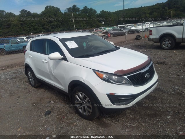 KIA SPORTAGE 2014 kndpb3ac6e7564673