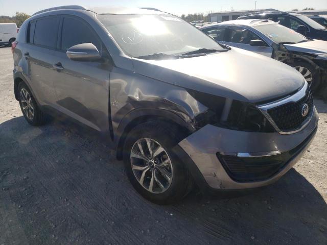 KIA SPORTAGE B 2014 kndpb3ac6e7574894