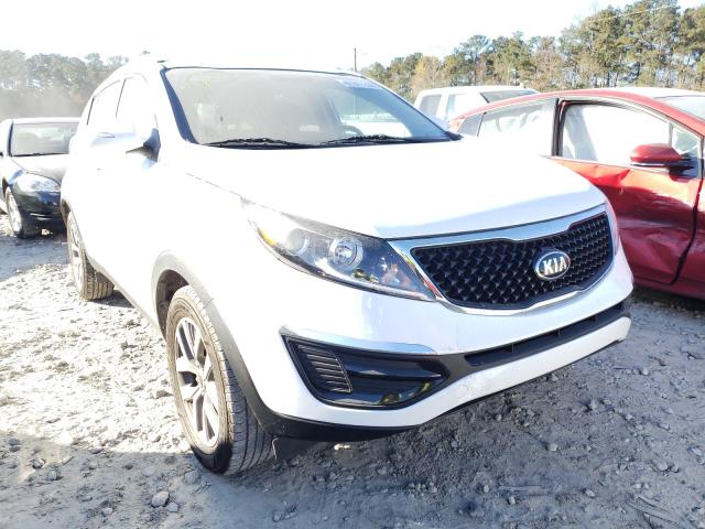 KIA SPORTAGE B 2014 kndpb3ac6e7620420