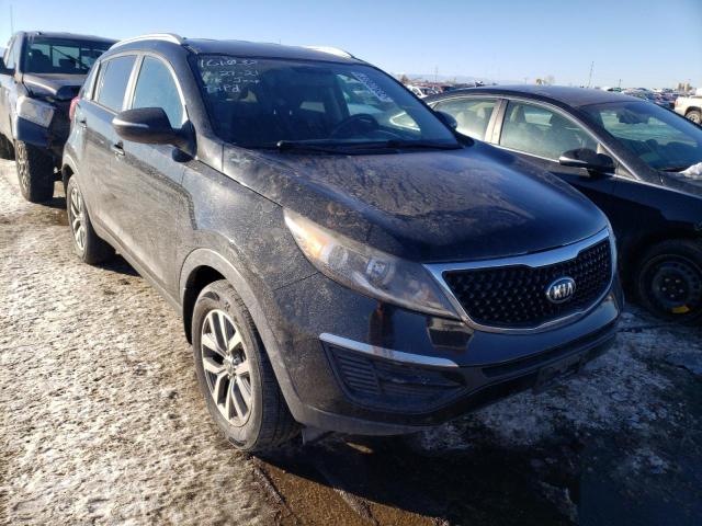 KIA SPORTAGE 2015 kndpb3ac6f7694826