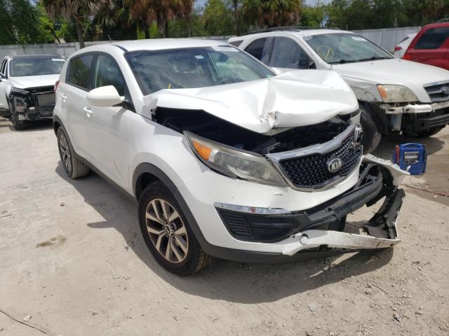 KIA SPORTAGE B 2014 kndpb3ac7e7579599