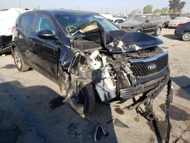 KIA SPORTAGE B 2014 kndpb3ac7e7579988