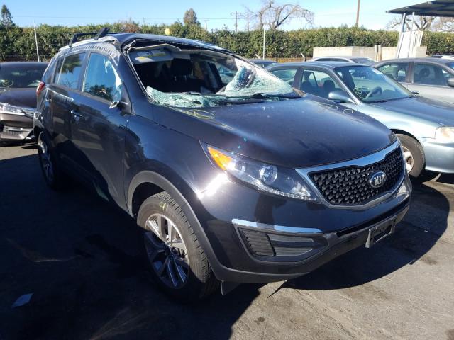 KIA SPORTAGE B 2014 kndpb3ac7e7597861