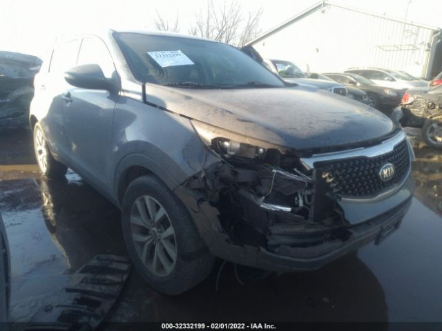 KIA SPORTAGE 2014 kndpb3ac7e7623598