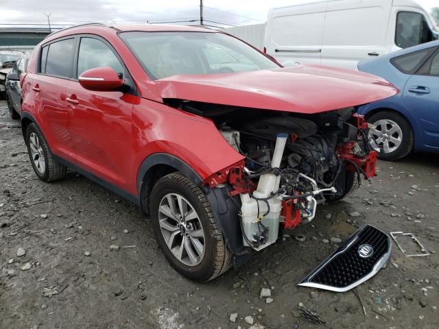 KIA SPORTAGE 2015 kndpb3ac7f7672334