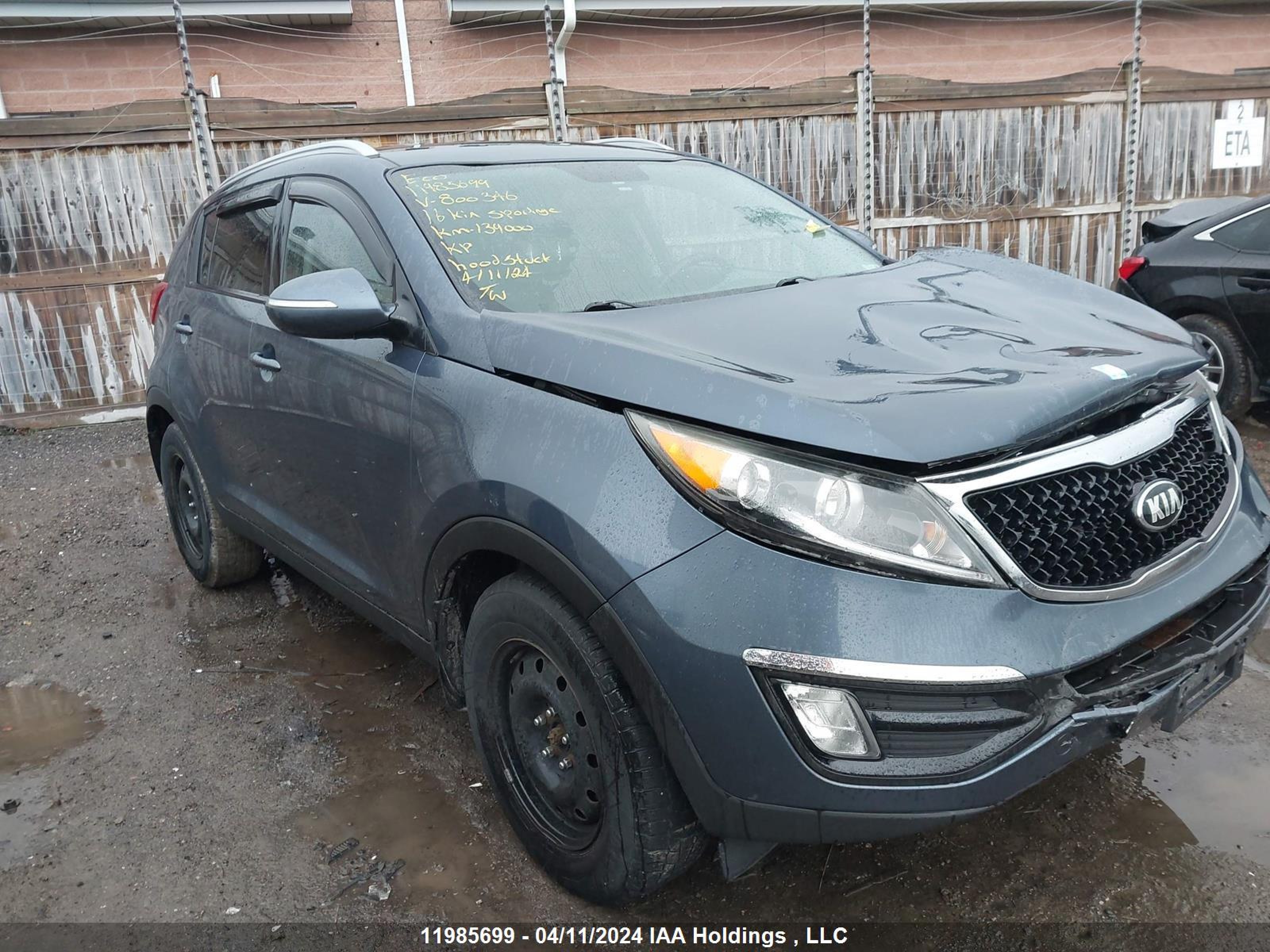 KIA SPORTAGE 2016 kndpb3ac7g7800346