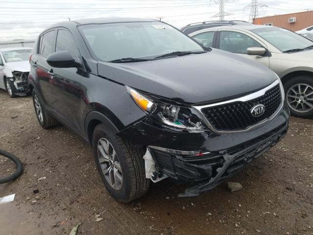 KIA NULL 2016 kndpb3ac7g7811444