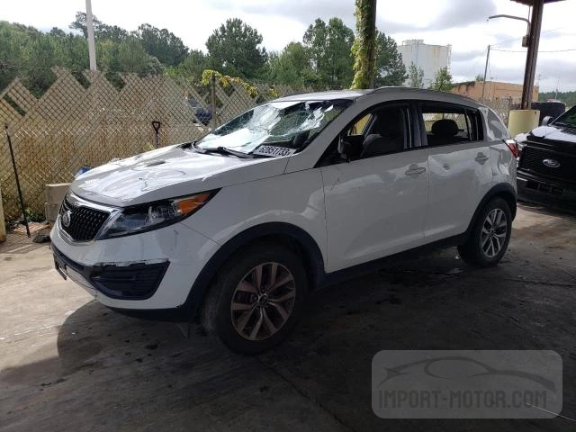 KIA SPORTAGE 2016 kndpb3ac7g7827546