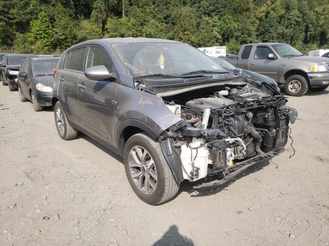 KIA SPORTAGE B 2014 kndpb3ac8e7607961