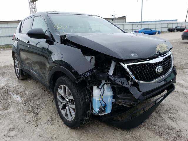 KIA SPORTAGE B 2014 kndpb3ac8e7613873