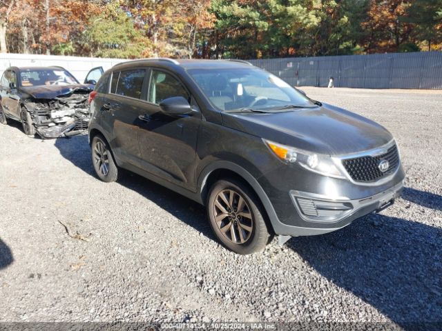 KIA SPORTAGE 2016 kndpb3ac8g7874603