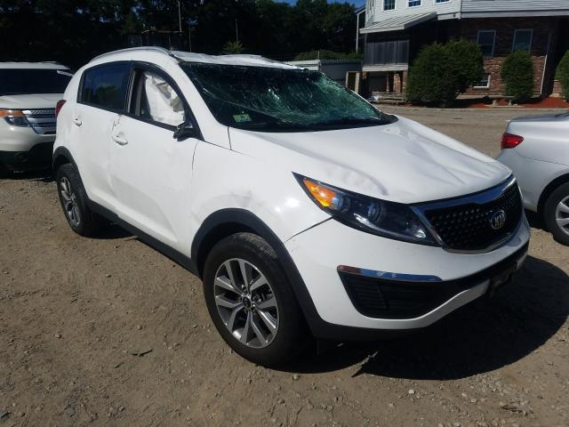 KIA SPORTAGE B 2014 kndpb3ac9e7564893